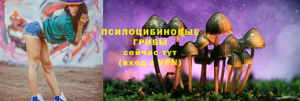 МДМА Белокуриха
