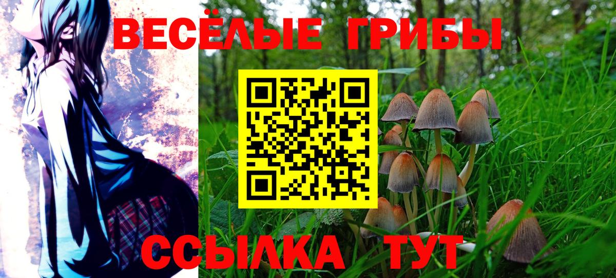 Псилоцибиновые грибы GOLDEN TEACHER Острогожск